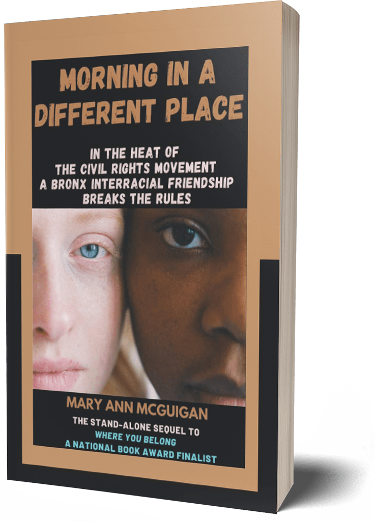 Morning in a Different Place a novel by Mary Ann McGuigan